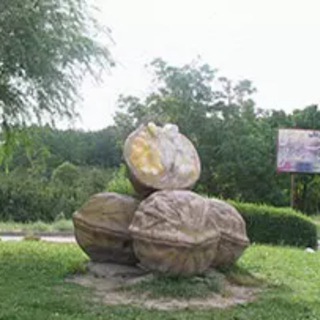 کانال بافت