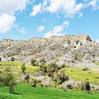 گروه تلگرام ثلاث باباجانی