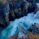 Free Nature Clips 4k🌿🌳