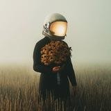 Wallpapers HD