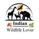 Indian Wildlife lover