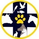 Veterinary medicine | دامپزشکی و دامپروری