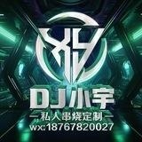 【DJ小宇私人订制】