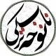 ️ نوحه ناب ترکی ️