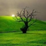 Nature|طبیعت