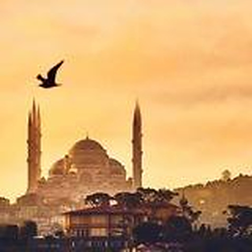 Bayrak muhafızları🇵🇸