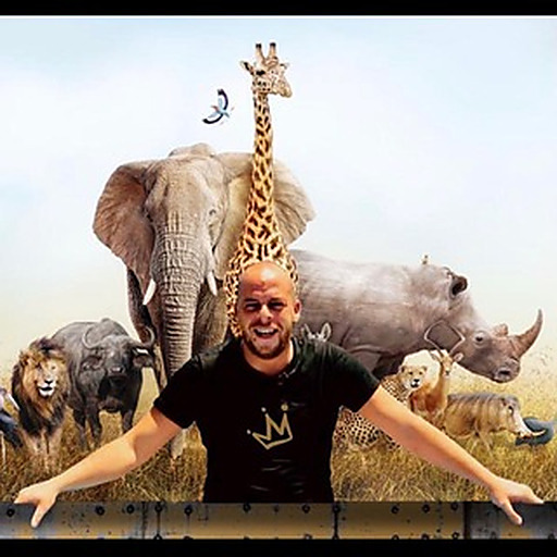 Le roi de la jungle 57
