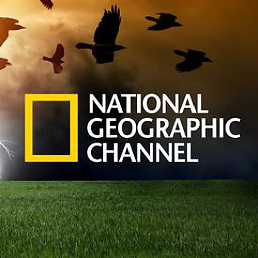 National Geographic Video's