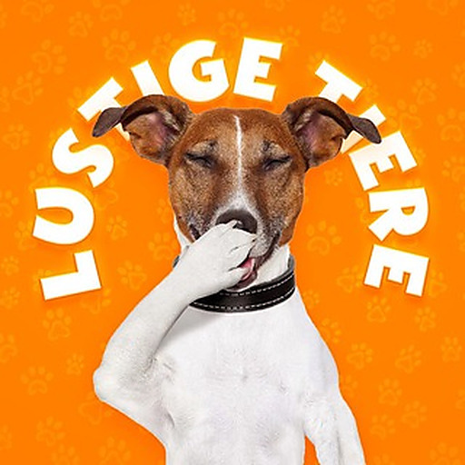 LUSTIGE TIERE