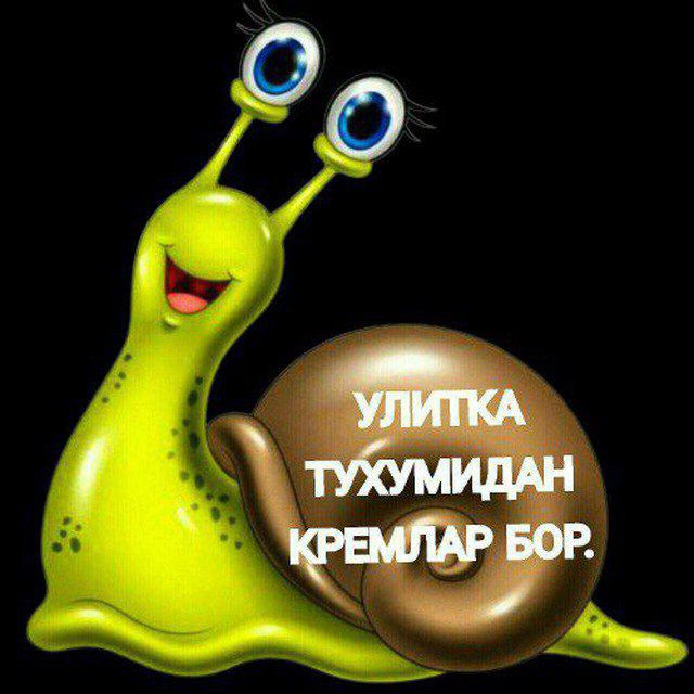 👌⚱Yuzingizdagi dog‘.sepkil.ajinlarni ulitka terapiya bn davolaymiz.🐌🐌🐌🐌