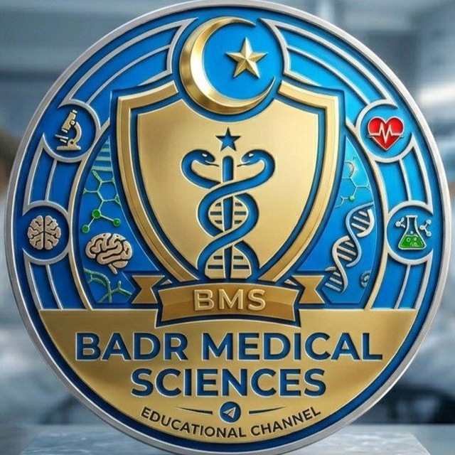 BMS.ANATOMY