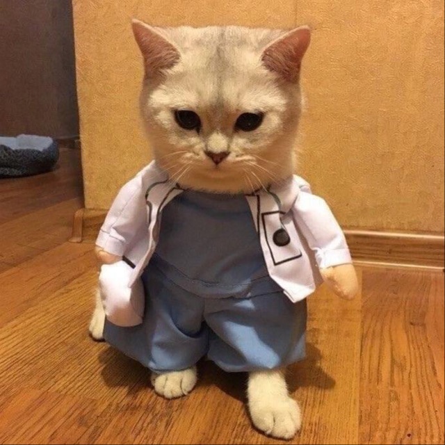 ️ ️ 𝐏𝐚𝐧𝐚𝐝𝐨𝐥 🩺💊بـنــــدول