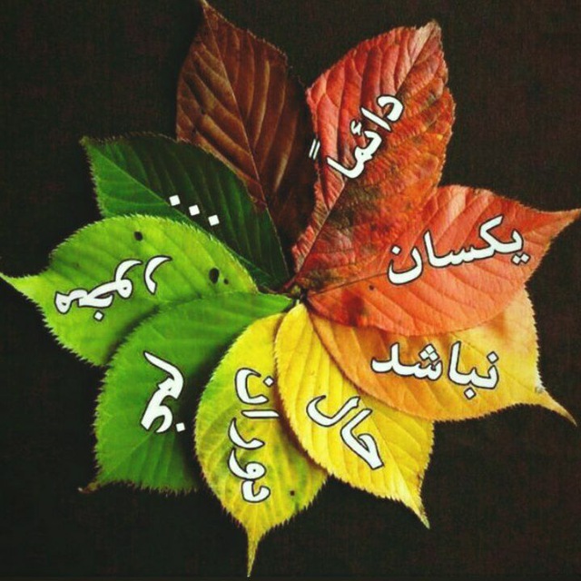 کلمات تاثیرگذار
